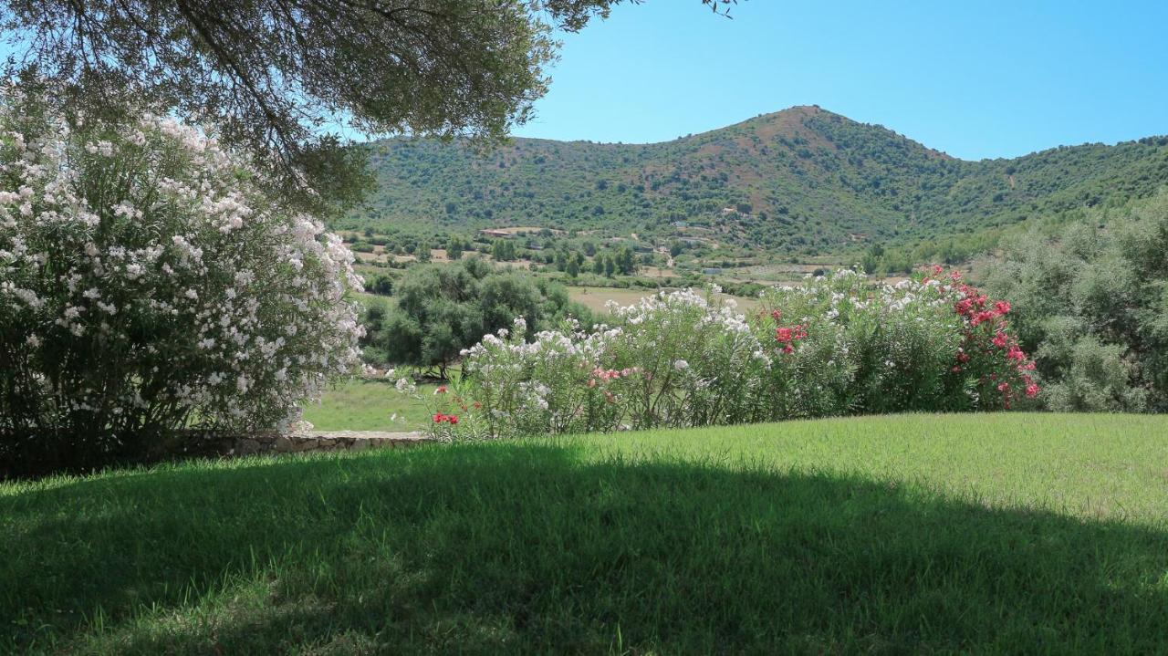 Rena Villa Budoni Exterior foto